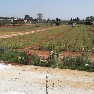 Affittacamere La Campagnola, Locogrande